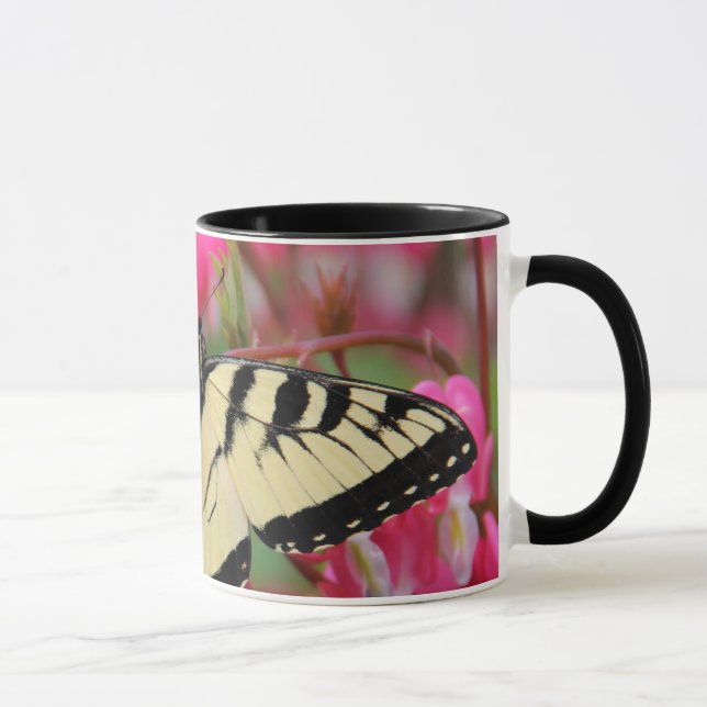 Caneca Swallowtail oriental (Direita)