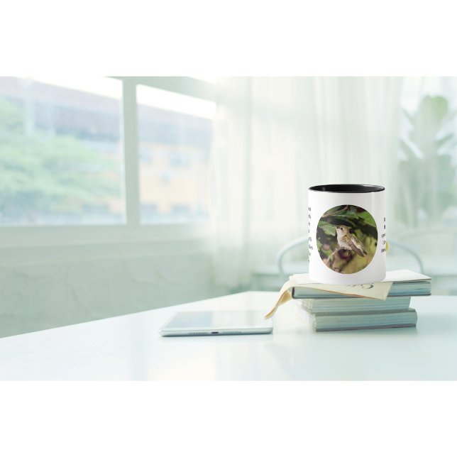 Caneca Taça de Café Hummingbird (It's a beautiful day why not enjoy your coffee in one of our fun facts hummingbird cups ?)