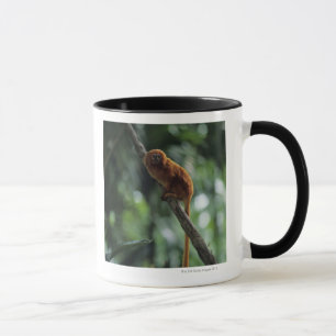 Caneca Tamarin dourado do leão (rosalia de