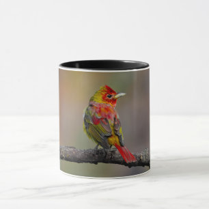 Caneca Tanager Escarlata em Muda - Fotografia Original