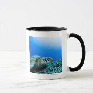 Caneca Tartaruga de mar que descansa debaixo d'água