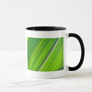 Caneca Tasse hellgrünes Maisblattdesign