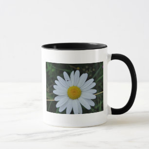 Caneca Tasse weisse Margeritenblüte