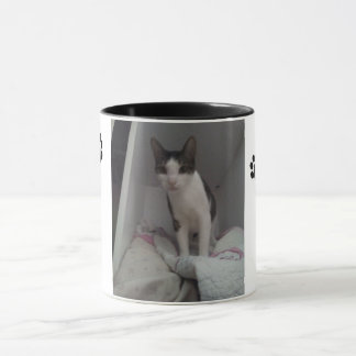 Caneca Taza gato lindo