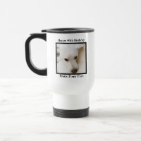 Bonito Cara de Sócio Cachorro Branco aniversário d