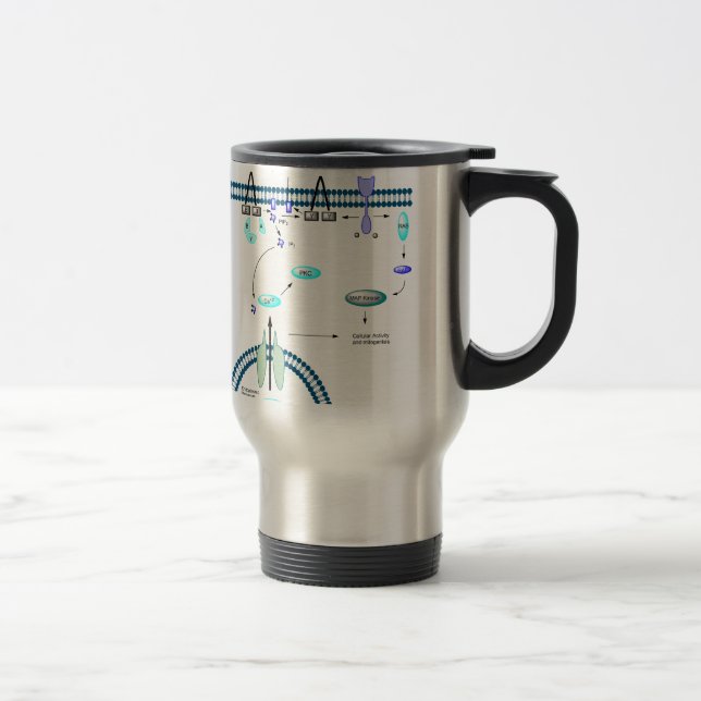 Caneca Térmica Caminho de GPCR (Direita)