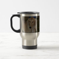 Cão louro de Saluki