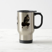 Falcão de cauda vermelha na luva