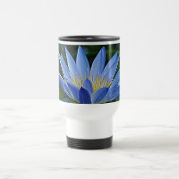 Flor de lótus e significado