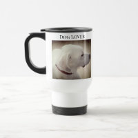 Foto de Perfil de Cachorro Ortoso Castanho-escuro