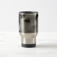 Pensamentos dos gatos