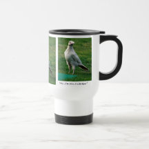 Rara Foto de Fauna de um Corvo Branco