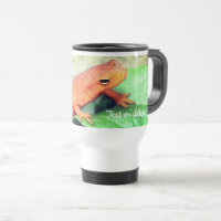 Red Eft Salamander Nature Personalizado
