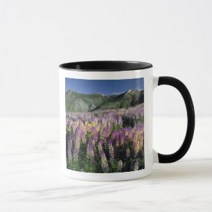 Caneca TERRENO INCULTIVADO DE JARBIDGE, NEVADA. EUA. Lupi