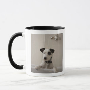 Caneca Terrier de Jack russell