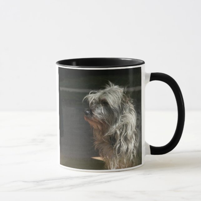Caneca terrier de monte de pedras (Direita)