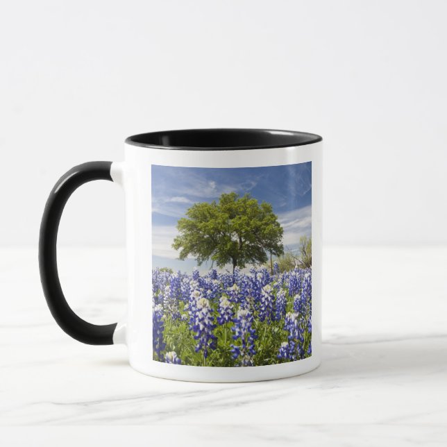 Caneca Texas bluebonnets(lupinus texensis) e carvalho (Esquerda)