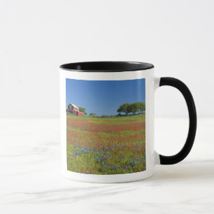 Caneca Texas, Texas Hill Country, pincel de Texas