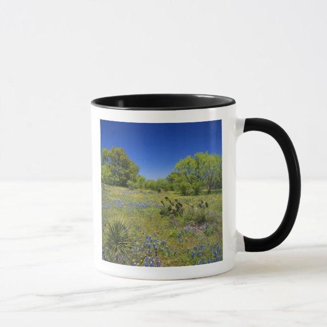 Caneca Texas, Texas Hill Country, Vesícula baixa, (Direita)