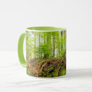 Caneca Tiger Mountain Issaquah, Estado de Washington