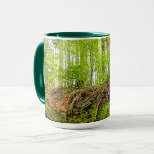 Caneca Tiger Mountain Issaquah, Estado de Washington