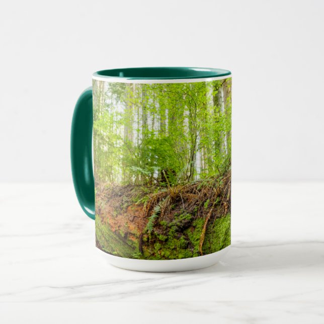 Caneca Tiger Mountain | Issaquah, Estado de Washington (Frente Esquerda)