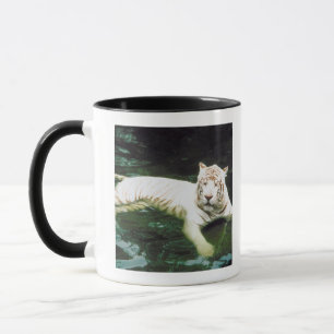 Caneca Tigre branco que nada pacificamente