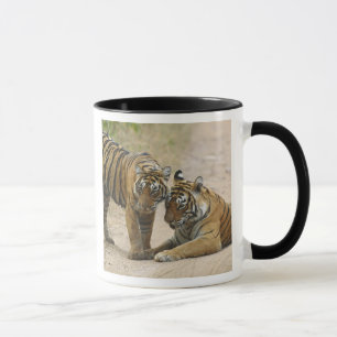 Caneca Tigre-de-bengala e filhote - Tocando à frente,