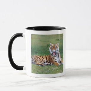 Caneca Tigre de bocejo