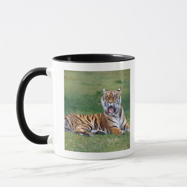 Caneca Tigre de bocejo (Esquerda)