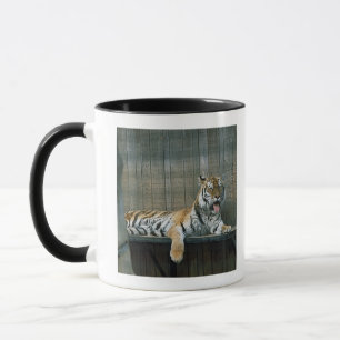 Caneca Tigre de bocejo na gaiola no jardim zoológico