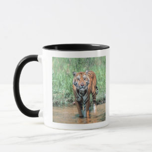 Caneca Tigre na água