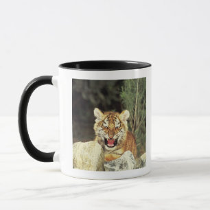 Caneca Tigre Siberian