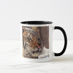 Caneca Tigre Siberian