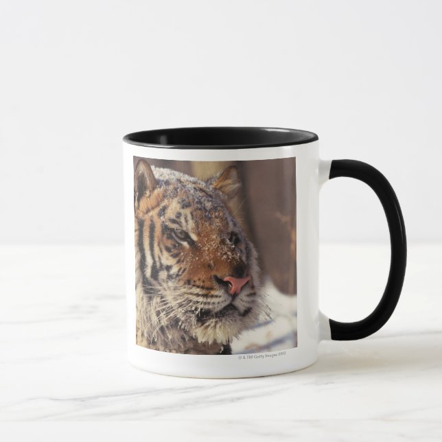Caneca Tigre Siberian (Direita)