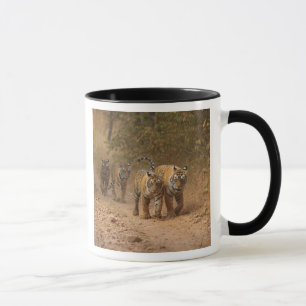 Caneca Tigres de Bengala Royals em movimento, Ranthambhor