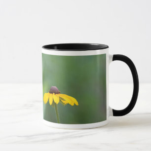 Caneca toda claramente