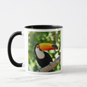 Caneca Toucan
