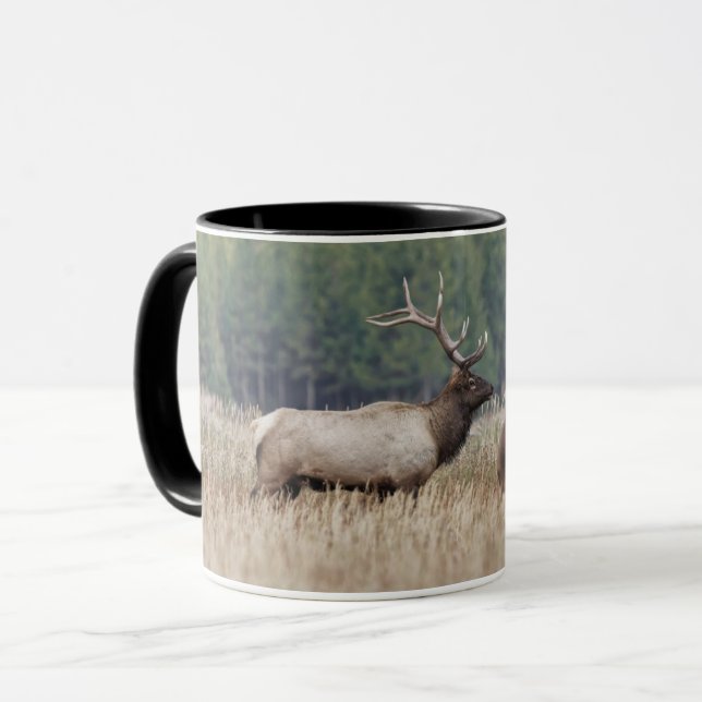 Caneca Touro Elk em Meadow | Parque Nacional Yellowstone (Frente Esquerda)