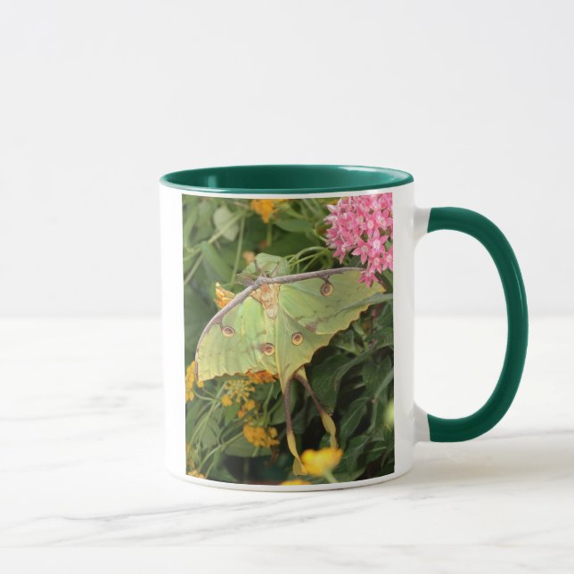 Caneca traça verde (Direita)