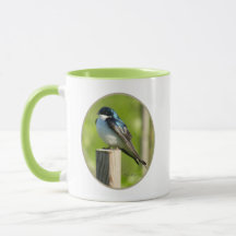 Tree Swallow Mug