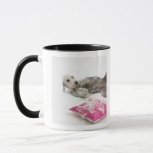 Caneca Treinamento do comportamento do cão