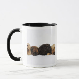 Caneca Três cães de Pekingese e único Pug que