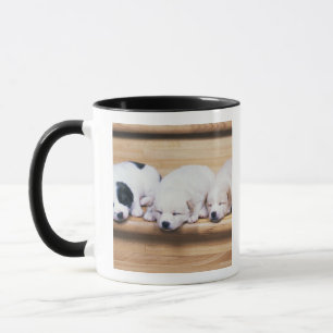 Caneca Três filhotes de cachorro