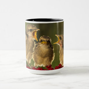 Caneca Três pássaros de Schach do Lanius do bebê