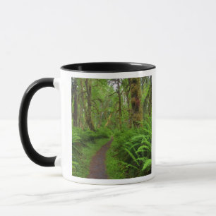 Caneca trilha Maple Glade, samambaias e musgo cobertos