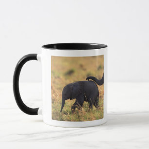 Caneca Tronco de prole tocante do elefante, Kenya,