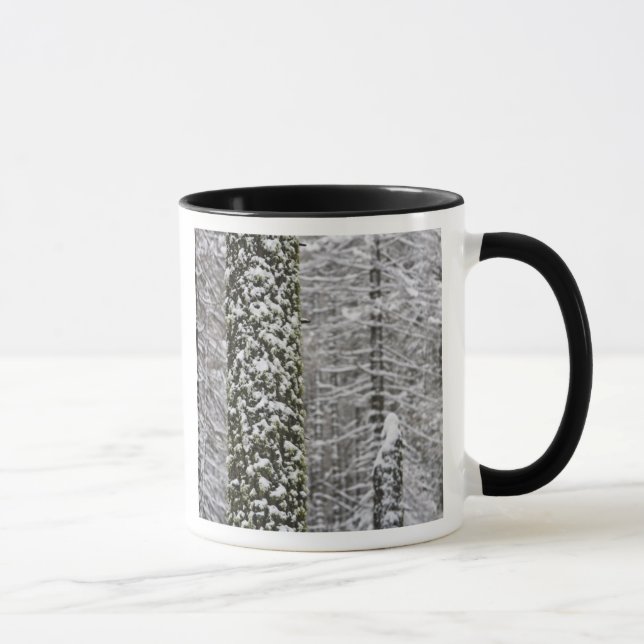 Caneca troncos de árvores cobertos de neve no vale de Yos (Direita)