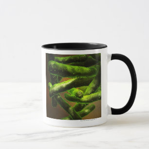 Caneca Tuberculose de Mycobacterium