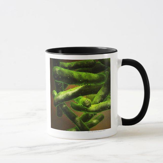 Caneca Tuberculose de Mycobacterium (Direita)